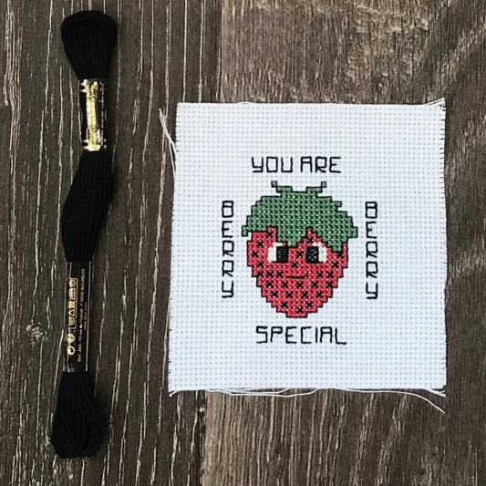 Starter Stitches: Strawberry Cross-Stitch Kit | “You Are Berry Special”